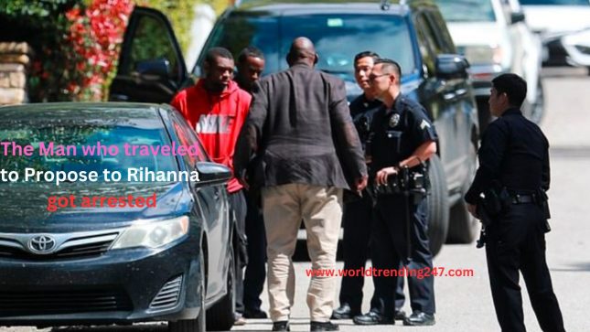 Man, Who Travels Miles to Propose to Rihanna Got Arrested